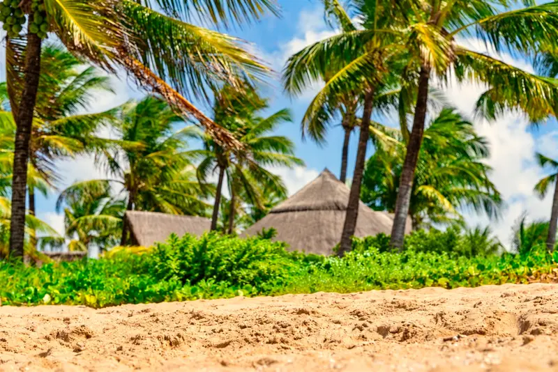 Areia da praia com coqueiros e bangalôs de palha ao fundo