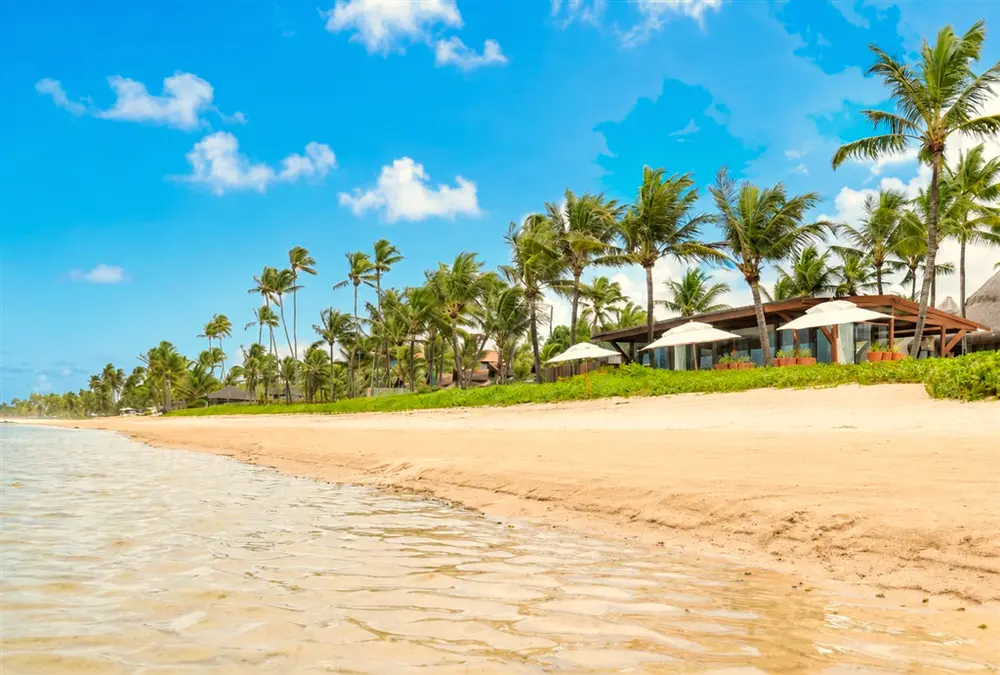 Praia de Muro Alto em frente ao resort, com guarda-sóis e coqueiros